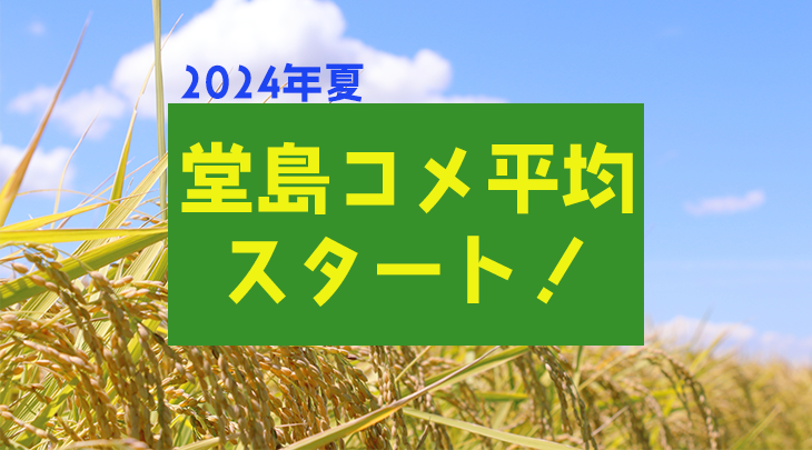 2024年夏　堂島コメ平均スタート！